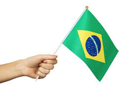 Bandeira do Brasil Mão Pequena