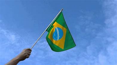 Brazilian Hand Flag