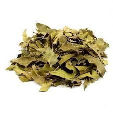 Cha de Chapeu de Couro Solnatus 50g