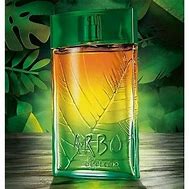 Perfume Arbo Liberte O Boticario 100ml