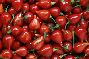 Pimenta de Bico Aroma de Minas 300g