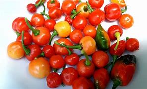 Pimenta Bode Vermelha Aroma D Minas 300g