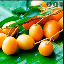 Polpa de Caja Icefruit 400g