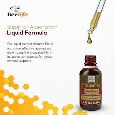 Propolis Extract Liquid Supplement Red Propolis 30ml