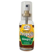 Spray Propolis e Gengibre Beelife 30ml