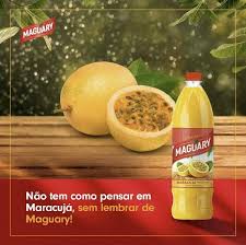 Suco Concentrado de Maracujá Maguary 500ml