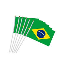 Bandeira do Brasil Mão Pequena