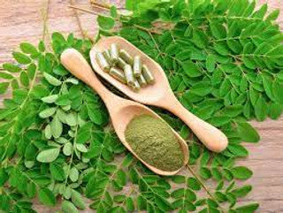 Chá de Moringa SolNatus 50g