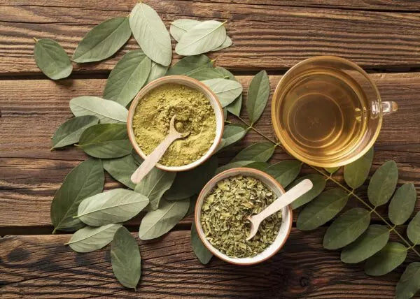 Chá de Folha de Moringa Bom Sabor