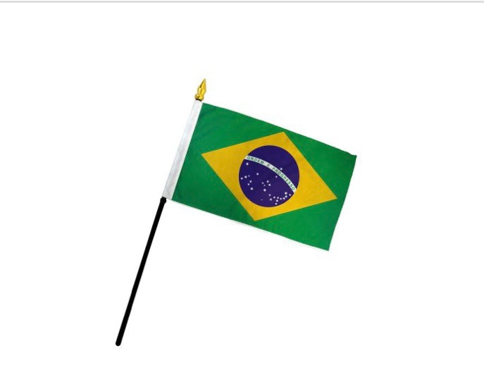 Brazil Flag 4X6IN Stick